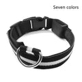 Black LED dog collar with a white light strip and metal D-ring