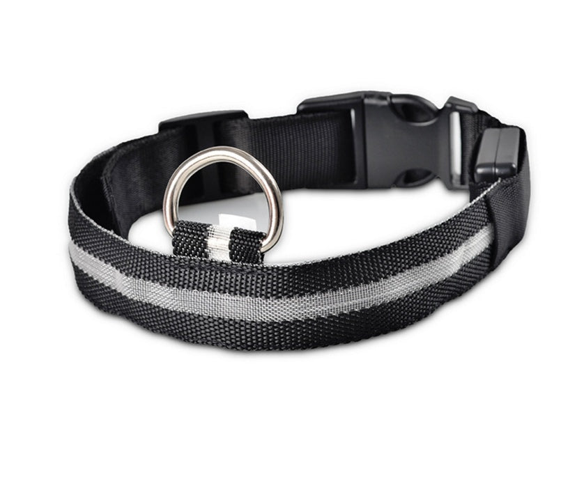 Black nylon LED dog collar with a light strip, buckle and metal D-ring