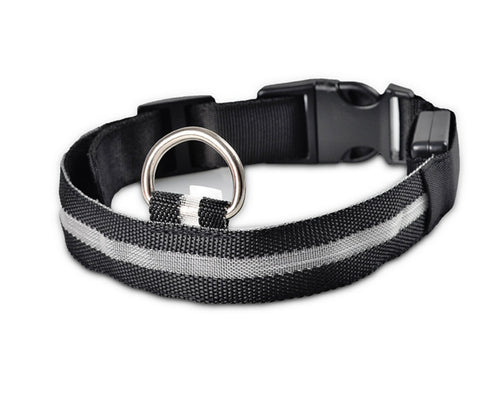 Black nylon LED dog collar with a light strip, buckle and metal D-ring